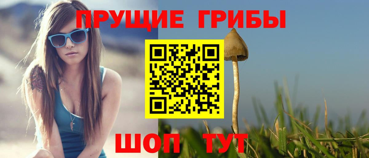 Галлюциногенные грибы Cubensis  купить   Нефтеюганск  Псилоцибиновые грибы MAGIC MUSHROOMS  Вход с VPN 